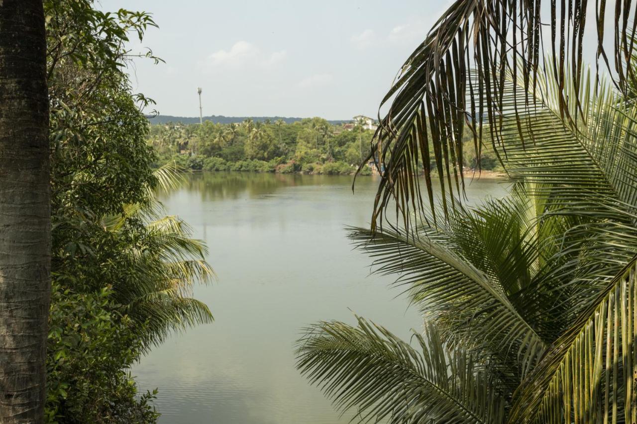 Marcelo Holiday Home Goa บากา ภายนอก รูปภาพ